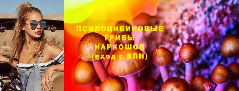 Галлюциногенные грибы GOLDEN TEACHER  Жуковский 